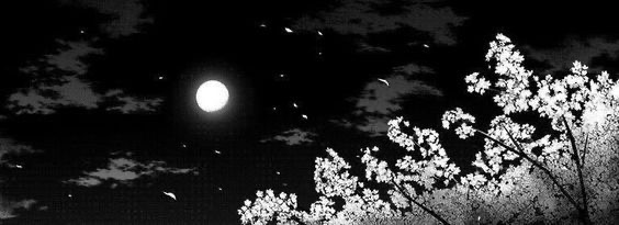 cover-01